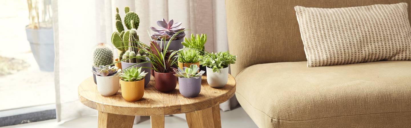 jazz rund mini 11cm toskanisches rot